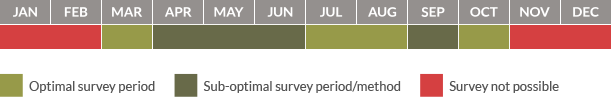 Survey calendar for reptiles